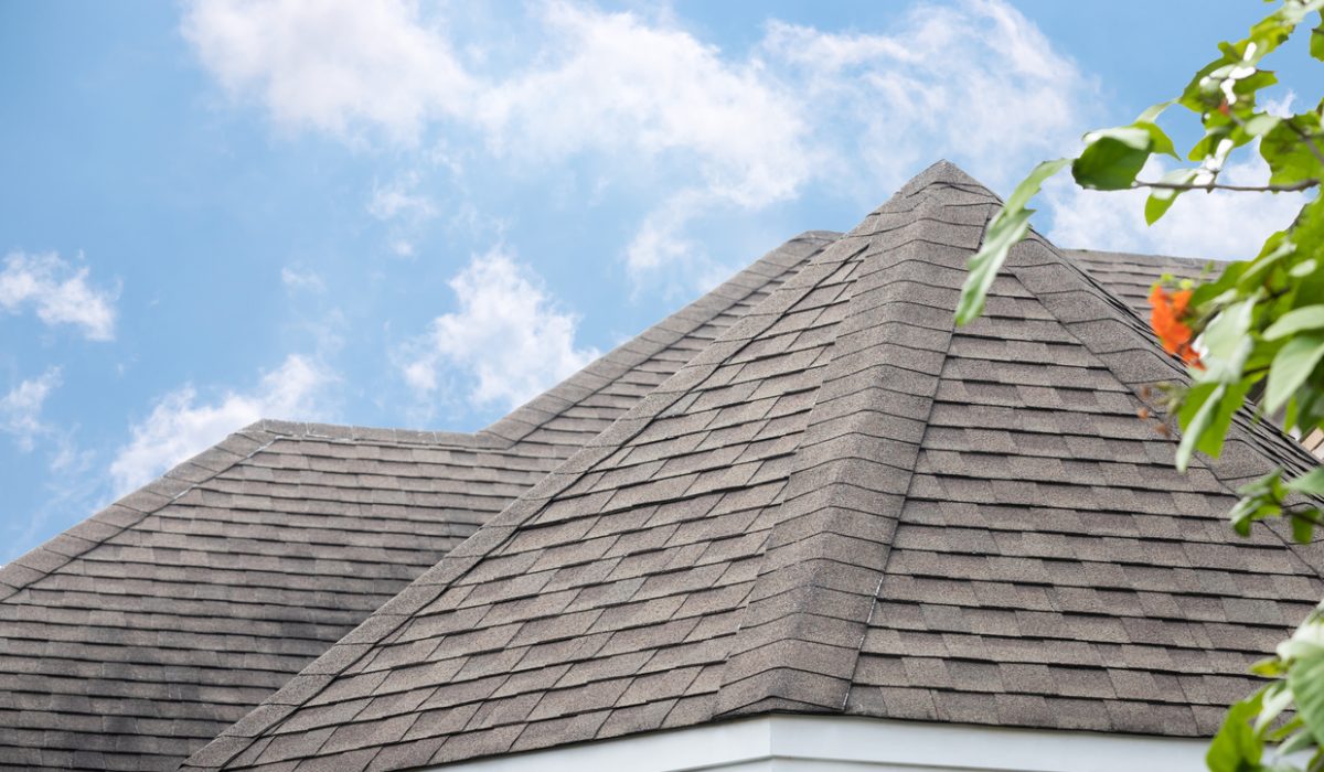 Overview of different commercial roofing membrane types.