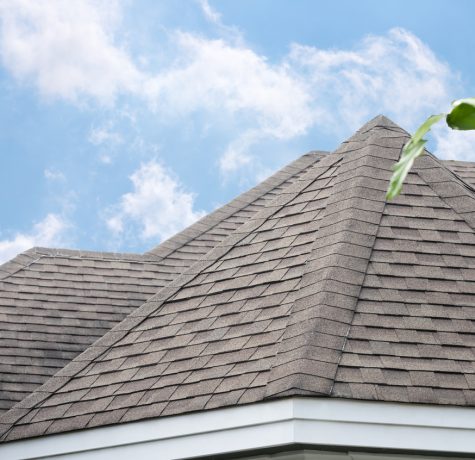 Overview of different commercial roofing membrane types.